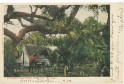 pc_1908_0007