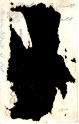 Malcolm McNeill 1910 back 022